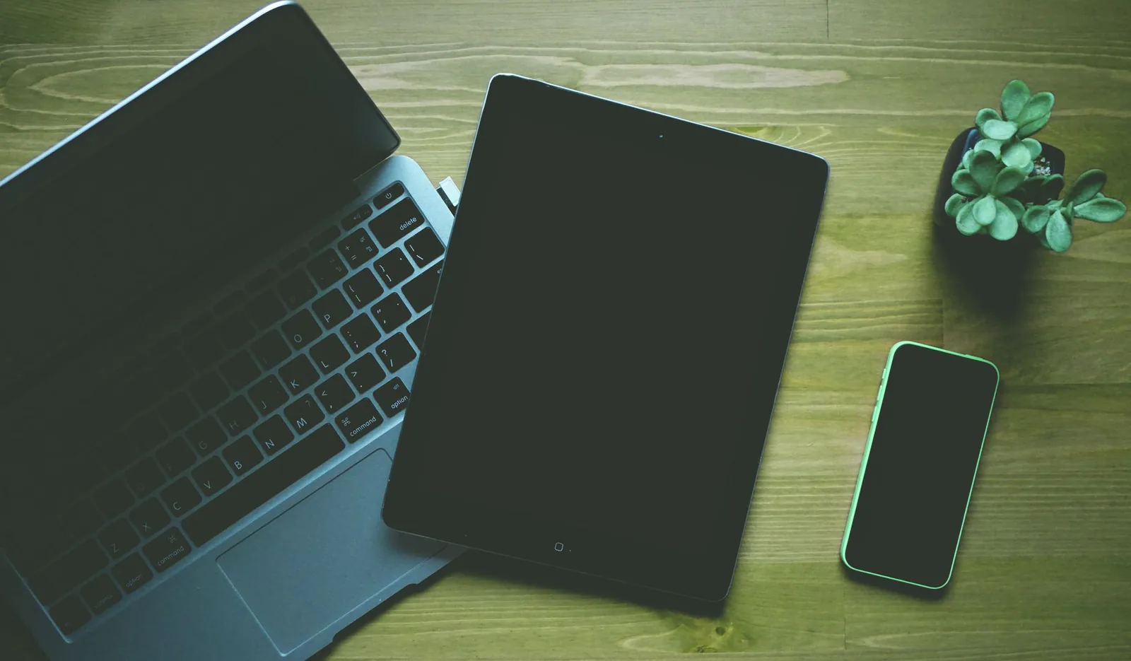 Workspace with laptop, tablet, smartphone, and a small plant